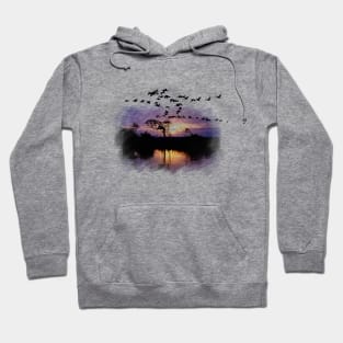 Calm sunset Hoodie